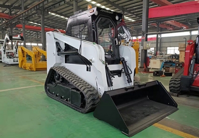 Skid Steer Loader TS100